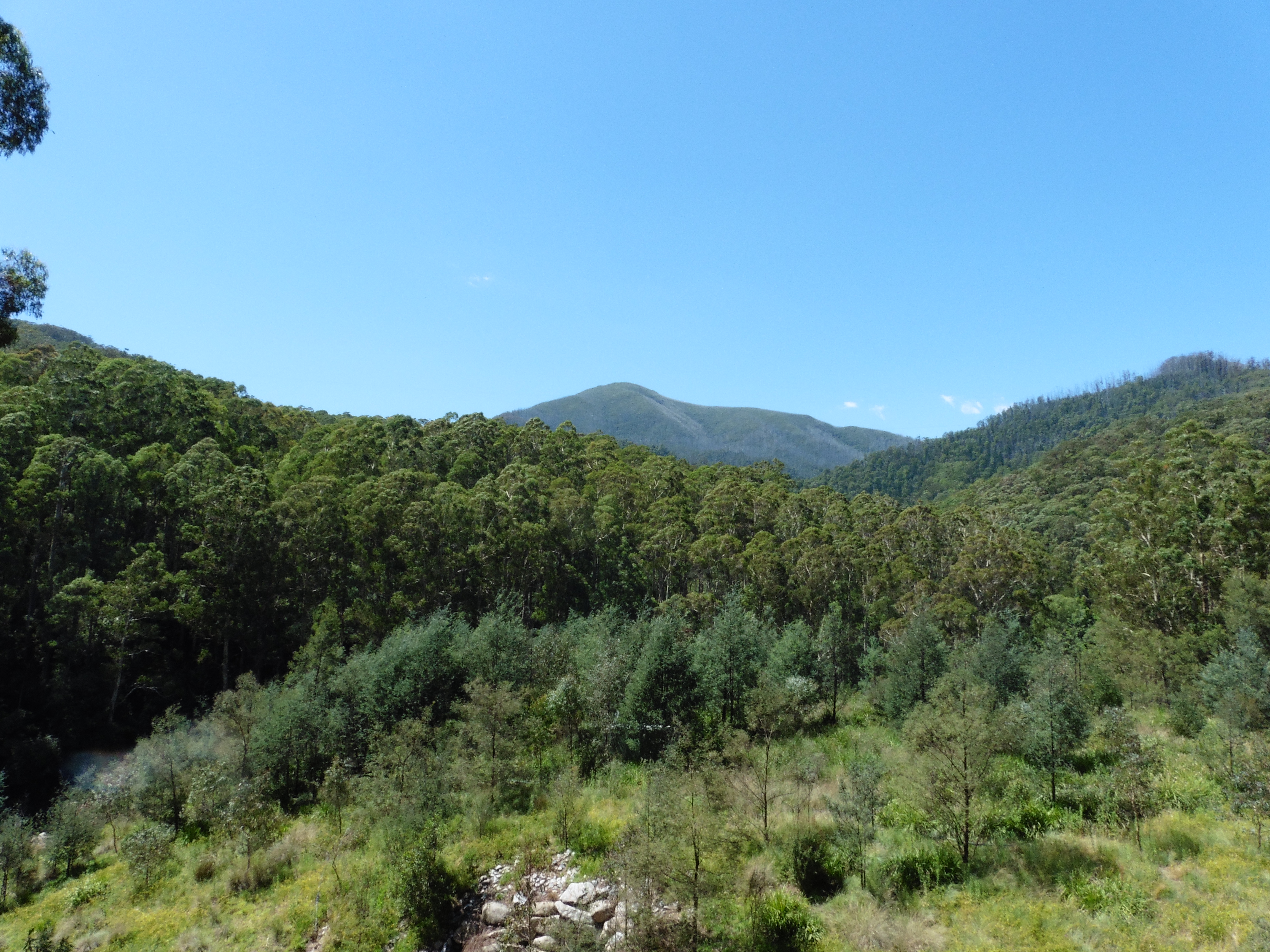 Bogong Alpine Village