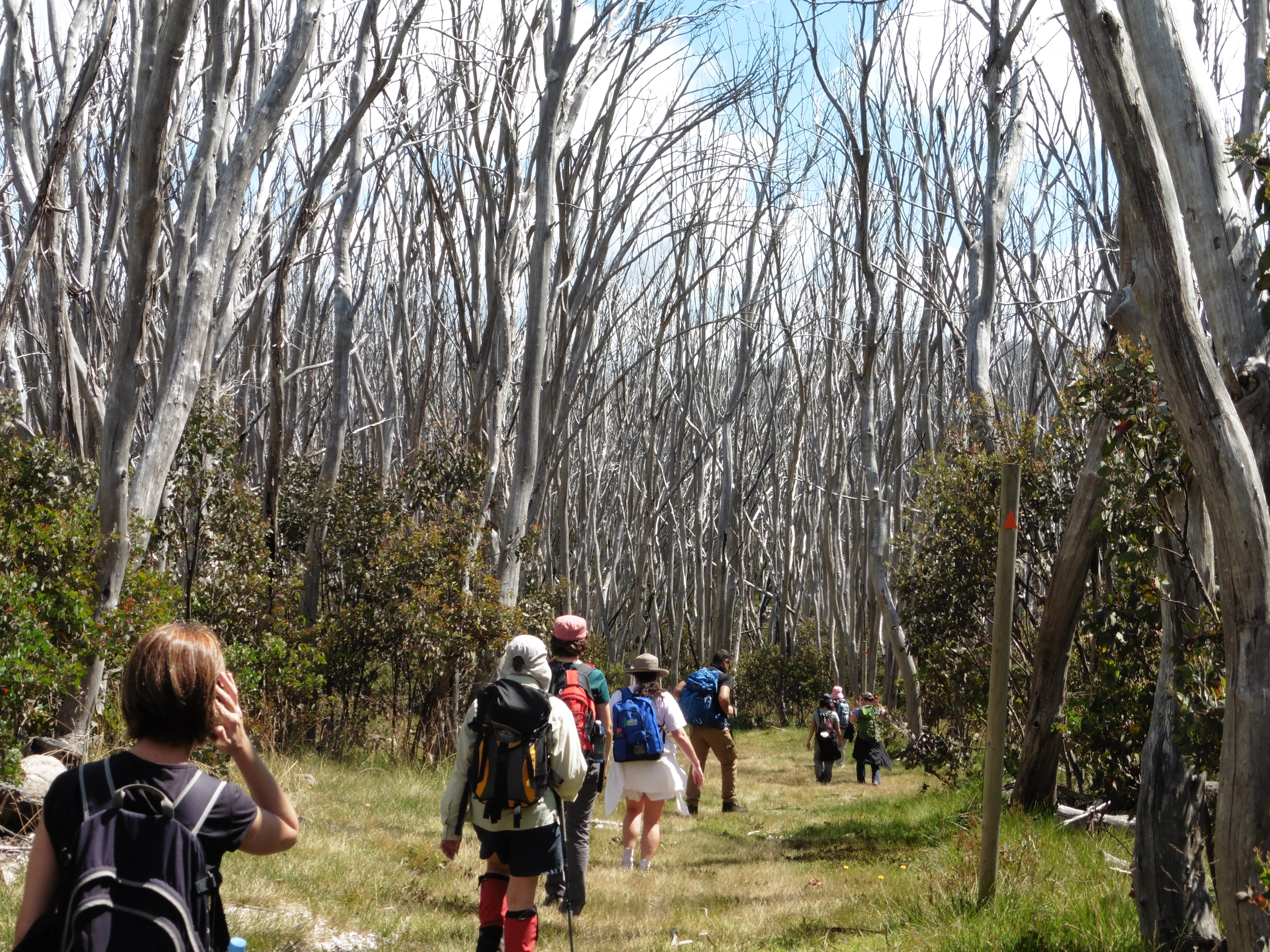 Lake Mountain – Marysville