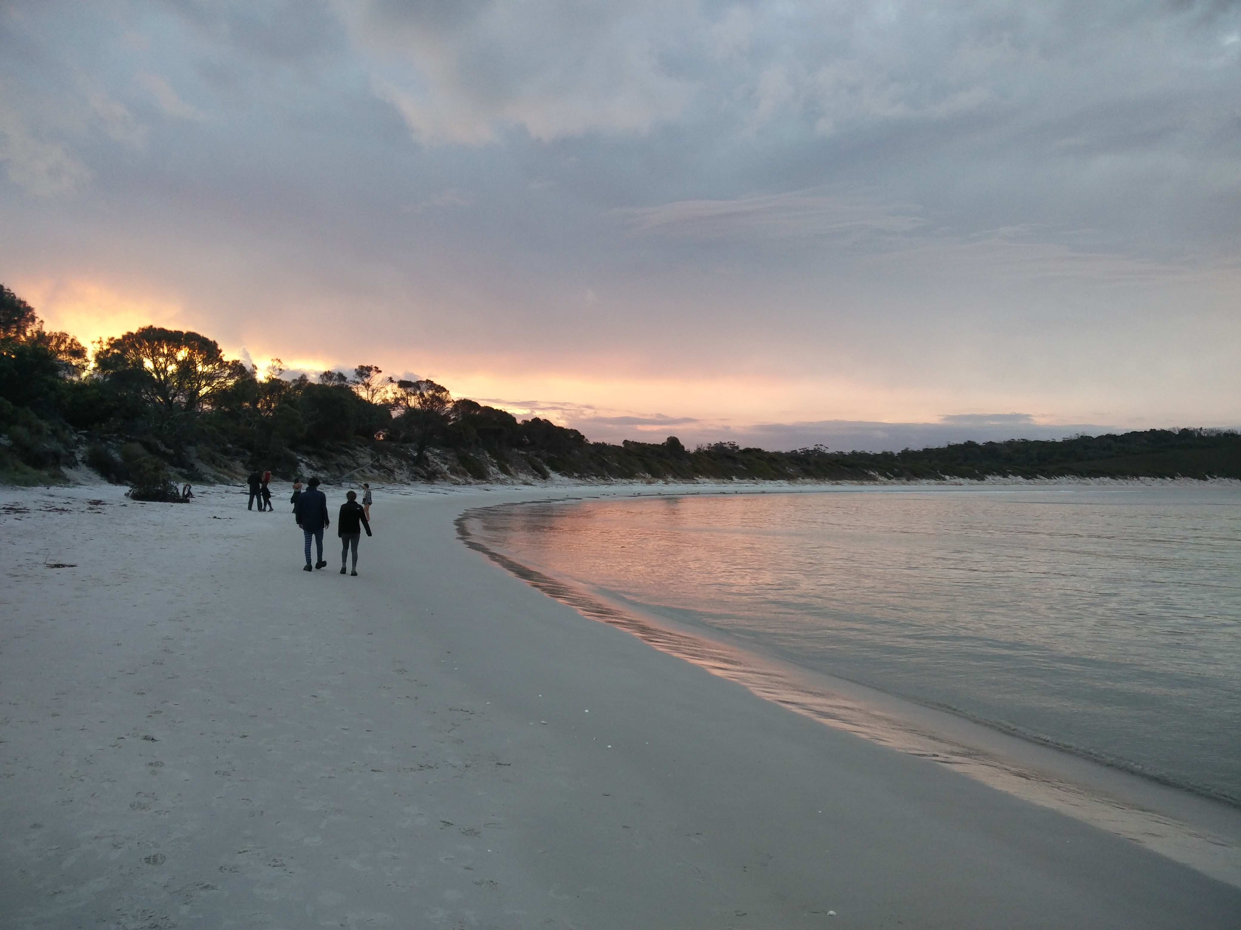 Tasmanie, Falls Festival